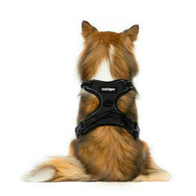 Load image into Gallery viewer, Heavy Duty No Pulling Front Clipping Dog Harness