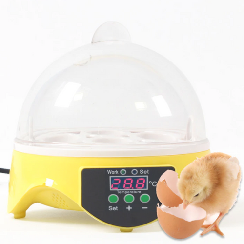7 Automatic Chicken Egg Incubator And Hatcher | Zincera