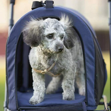 Load image into Gallery viewer, Heavy Duty Double Small Dog Jogging Stroller Carriage