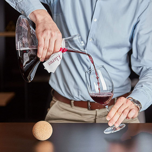 Unique Glass Wine Decanter Set | Zincera