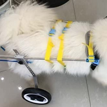 Load image into Gallery viewer, Dog Mobility Back Legs Wheelchair