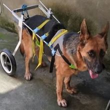 Load image into Gallery viewer, Dog Mobility Back Legs Wheelchair