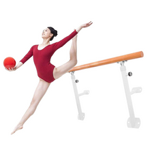 Load image into Gallery viewer, Portable Wall Mounted Home Ballet Dance Exercise Barre