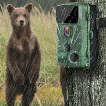 Load image into Gallery viewer, Waterproof Wildlife Game Hunting Security Deer Trail Camera