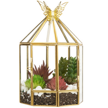 Load image into Gallery viewer, Hexagonal Closed Indoor Glass Plant Standing Terrarium