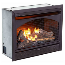 Load image into Gallery viewer, Modern Free Standing Ventless Gas Fireplace Insert 26,000 BTU