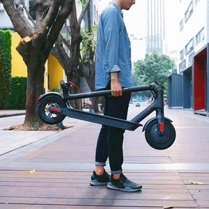 Portable Folding Adult Motorized Electric Powered Scooter 350W