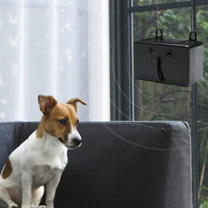 Premium Dog Anti Barking Deterrent Control Device