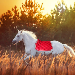 Luxury Western Horse Cotton Saddle Pad | Zincera