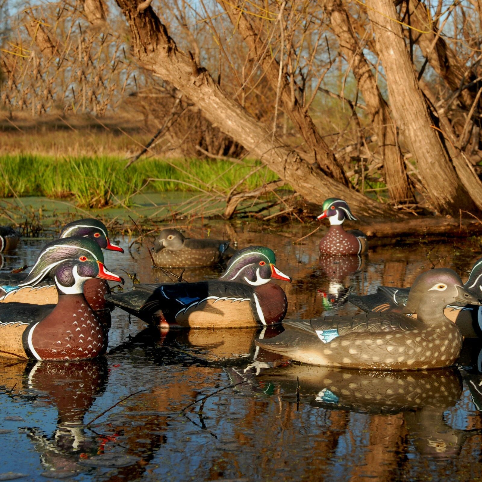 Full Body Motion Wood Duck Decoy 6 pack– Zincera