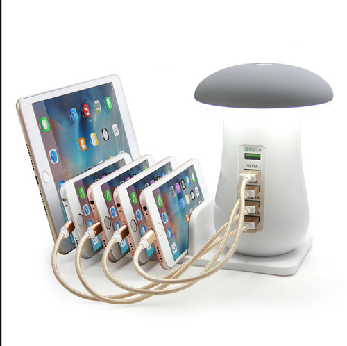 Multi Charging Station For iPhone/Android | Zincera