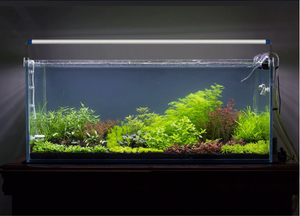 LED Aquarium Fish Tank Light | Zincera