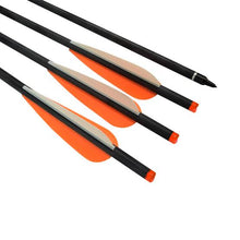 Load image into Gallery viewer, All In One Archery Crossbow Fiberglass Arrow Bolt Set - 16&quot;