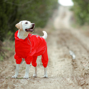 Premium Dog Raincoat Jacket | Zincera