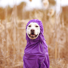 Load image into Gallery viewer, Premium Dog Raincoat Jacket | Zincera