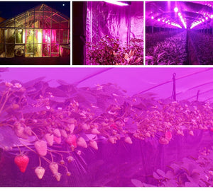 Plant LED Grow Lights Full Spectrum Indoor | Zincera