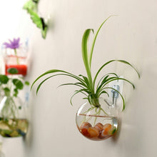 Load image into Gallery viewer, Luxurious Wall Mounted Planter Holder | Zincera