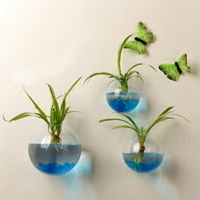 Load image into Gallery viewer, Luxurious Wall Mounted Planter Holder | Zincera