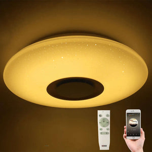 LED Flush Mount Ceiling Modern Light With Music | Zincera