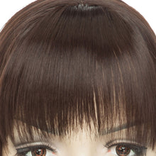 Load image into Gallery viewer, Clip On Hair Topper Pieces Synthetic Wiglet For Women | Zincera
