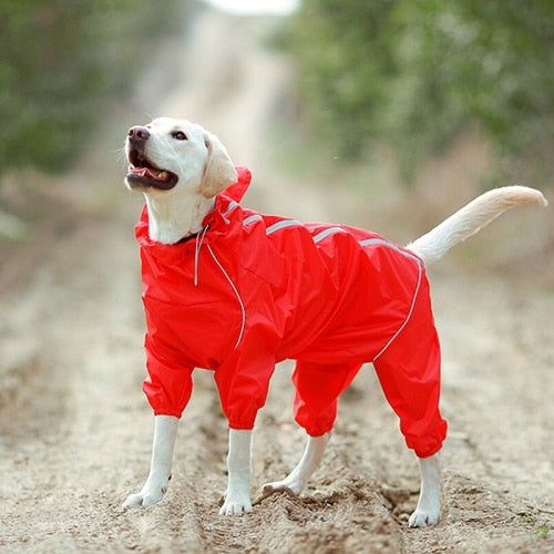 Premium Dog Raincoat Jacket | Zincera