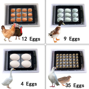 35 Premium Automatic Chicken Egg Incubator | Zincera