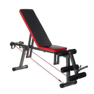 Adjustable Weight Lifting Dumbbell Workout Folding Bench | Zincera