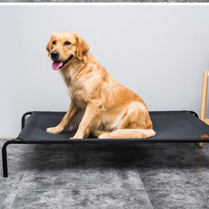 Soft Elevated Dog Cot Bed | Zincera