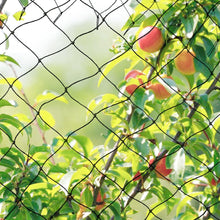 Load image into Gallery viewer, Garden Fruit Trees Bird Netting | Zincera