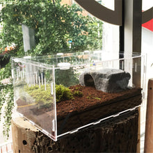 Load image into Gallery viewer, Premium PVC Transparent Reptile Enclosure Terrarium Tank