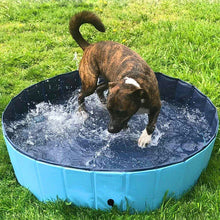 Load image into Gallery viewer, Heavy Duty Large Plastic Dog Swimming Pool | Zincera
