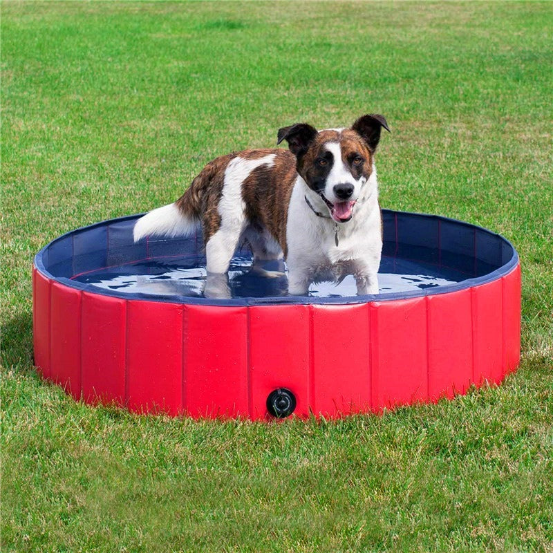 Heavy Duty Large Plastic Dog Swimming Pool | Zincera