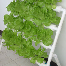Load image into Gallery viewer, Premium Hydroponic Garden Tower System Setup Kit 36 Sites | Zincera