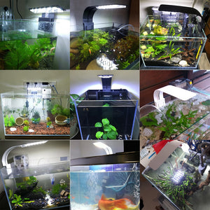 Premium LED Aquarium Fish Tank Light | Zincera