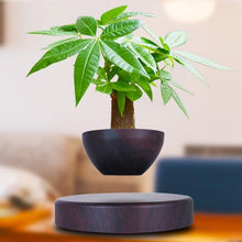 Load image into Gallery viewer, Levitating Magnetic Bonsai Tree Planter Pot | Zincera