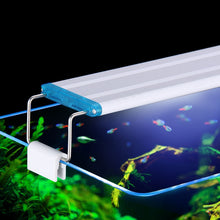 Load image into Gallery viewer, LED Aquarium Fish Tank Light | Zincera