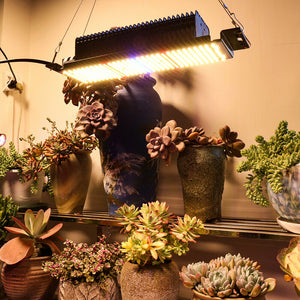 Full Spectrum Indoor Greenhouse LED Grow Lights 300W